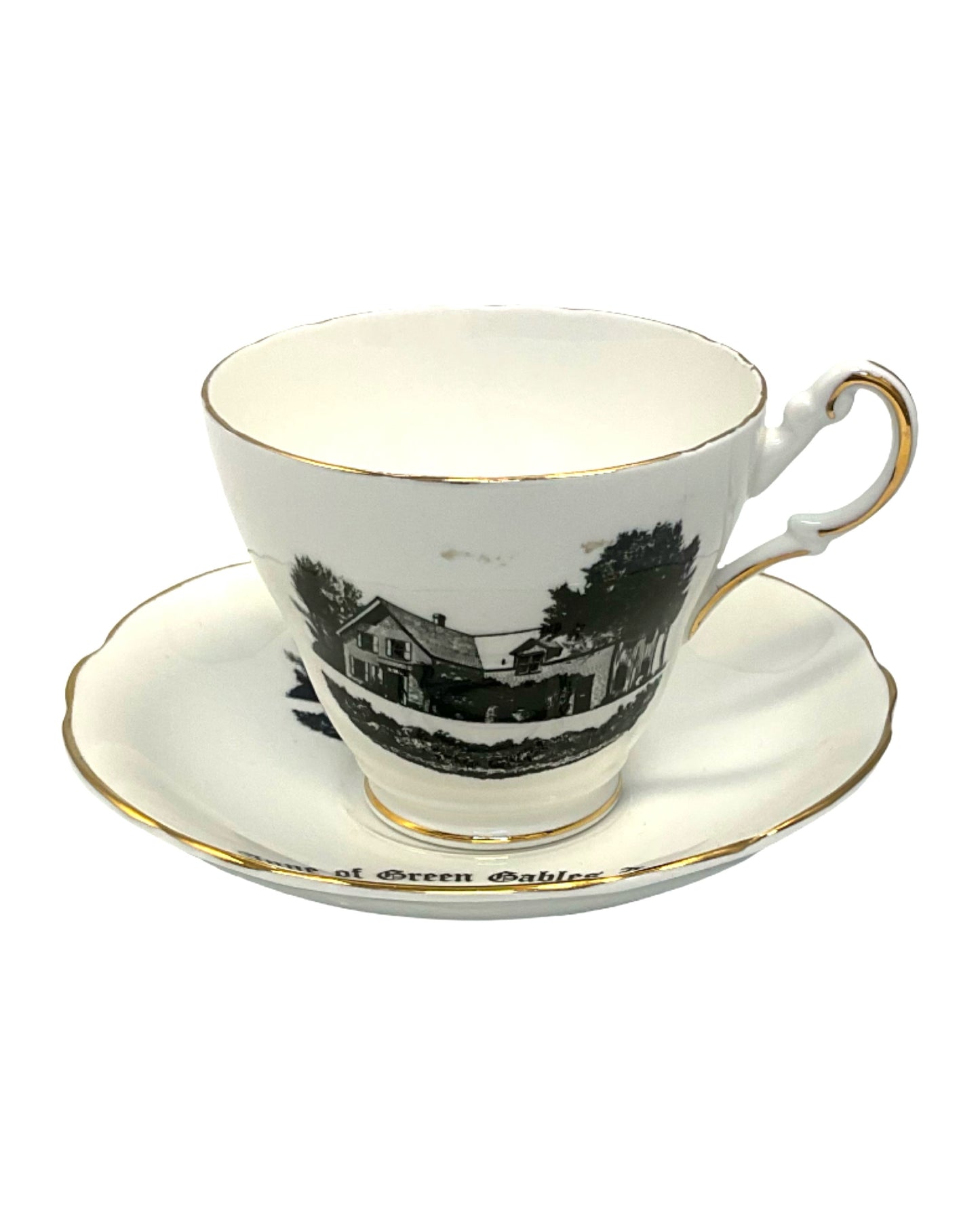 TEA CUP