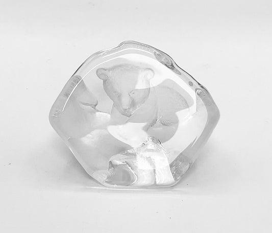 ACCESSORY