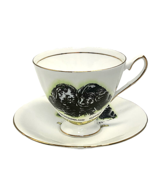 TEA CUP