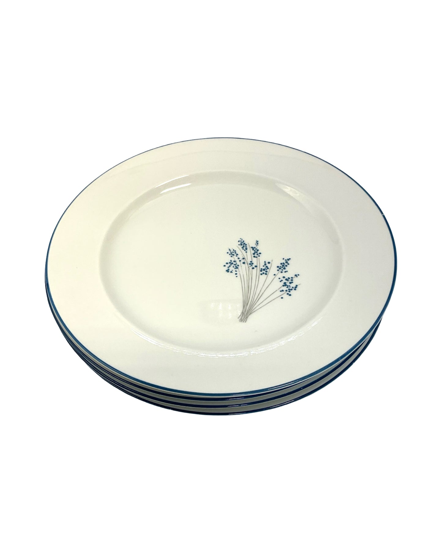 DISHES
