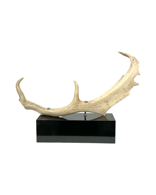 SCULPTURE