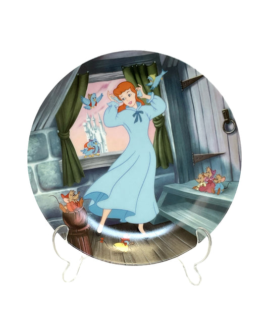 ACCESSORY